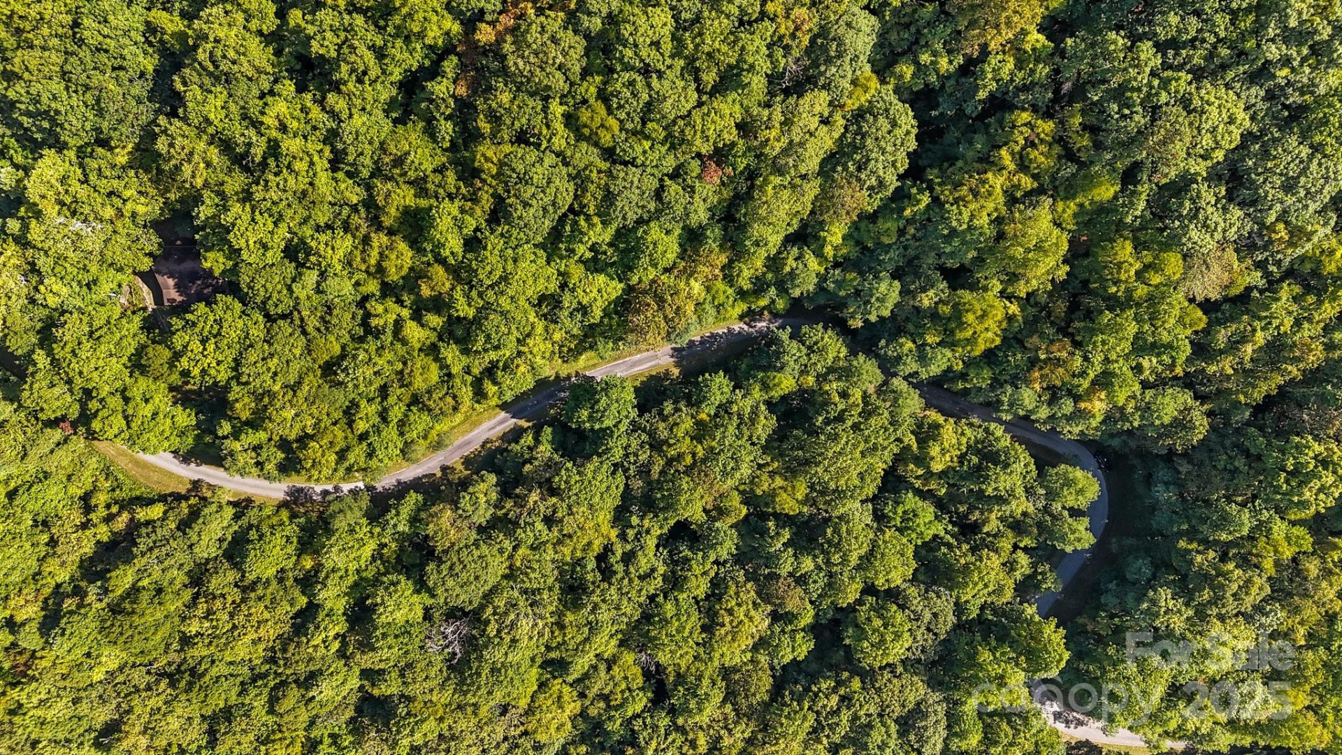 0 Brush Creek Mountain Road #41 - Photo 5