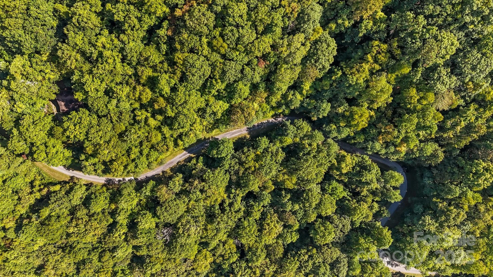 0 Brush Creek Mountain Road #41 - Photo 5