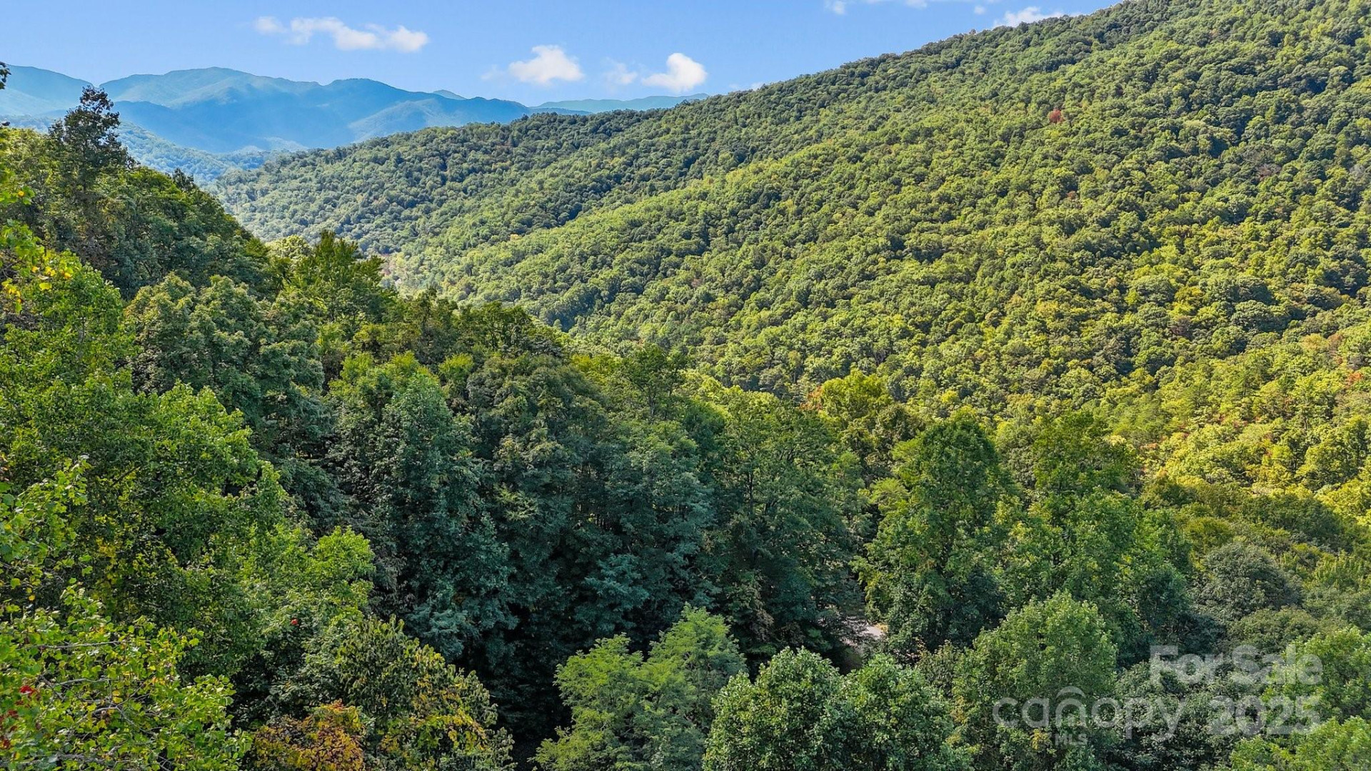 0 Brush Creek Mountain Road #41 - Photo 6