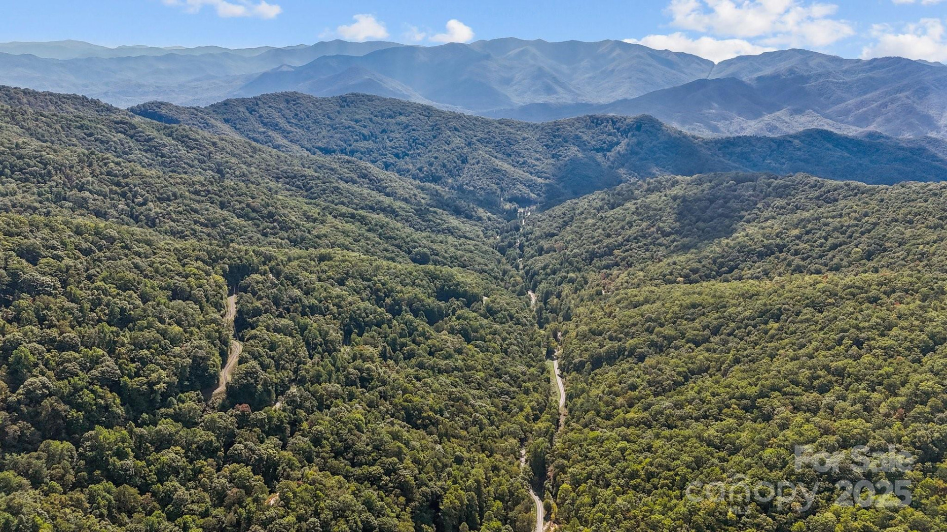 0 Brush Creek Mountain Road #41 - Photo 8