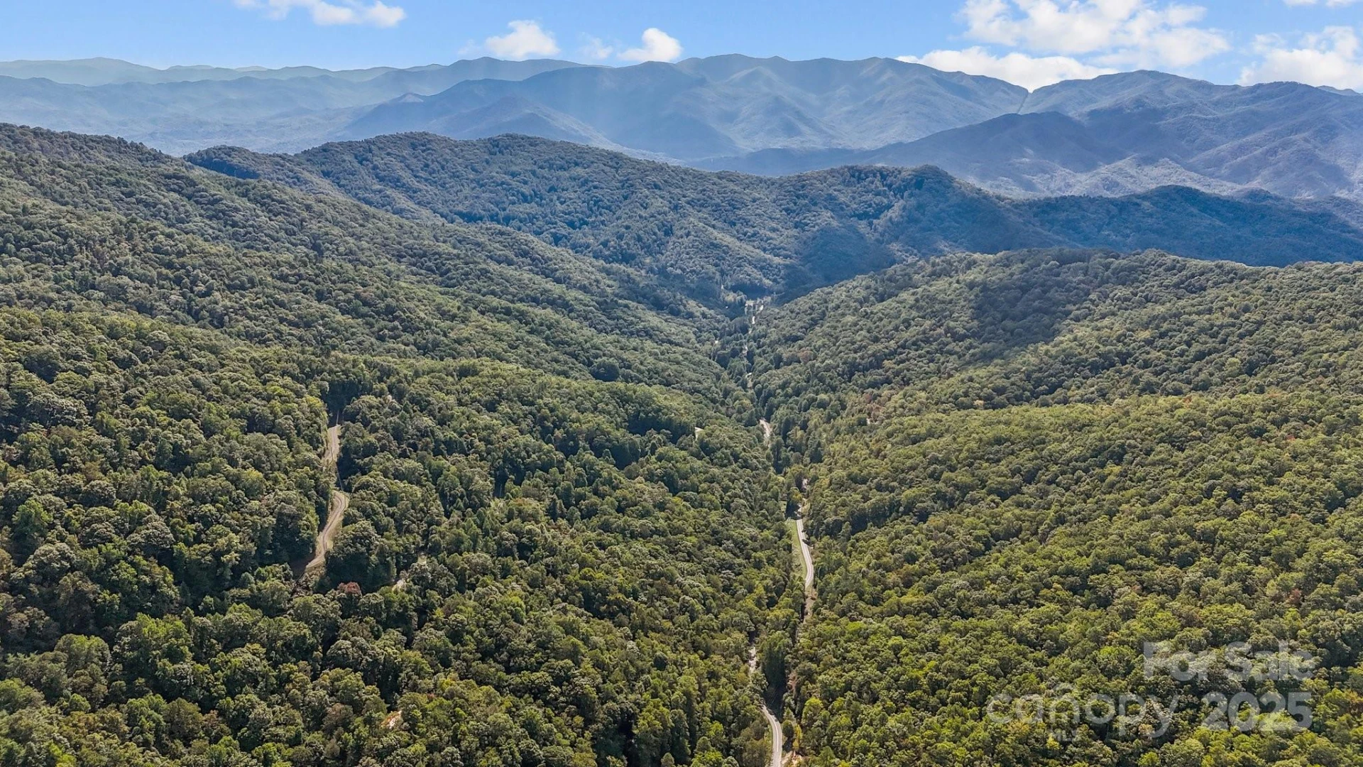0 Brush Creek Mountain Road #41 - Photo 8