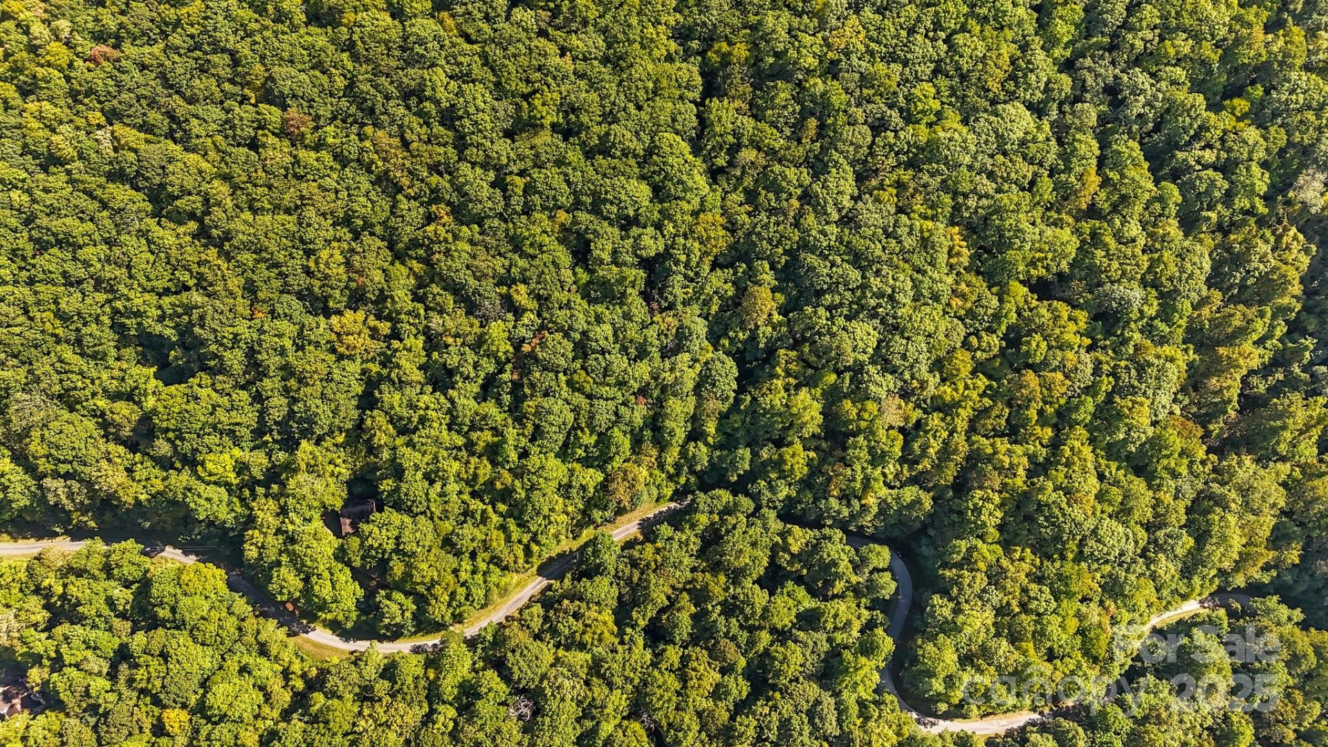 0 Brush Creek Mountain Road #41 - Photo 9