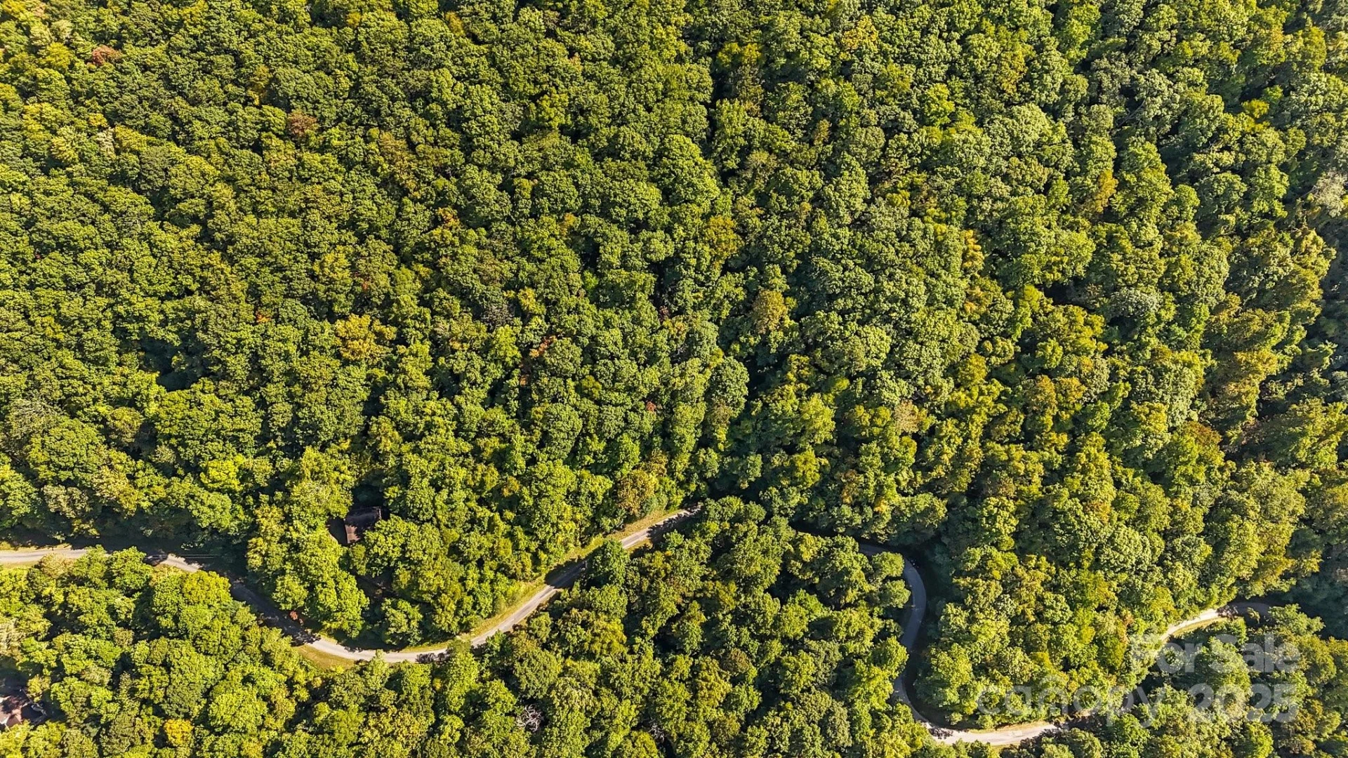 0 Brush Creek Mountain Road #41 - Photo 9