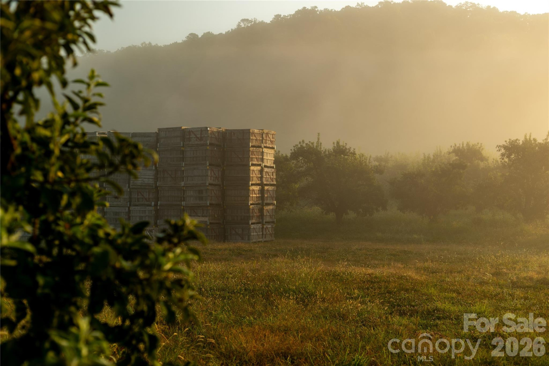 TBD Old Clear Creek Road