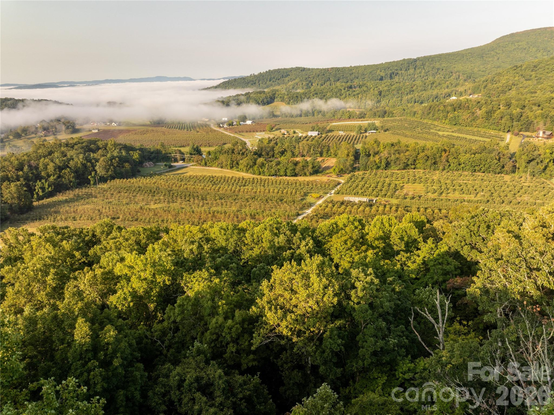 TBD Old Clear Creek Road - Photo 2