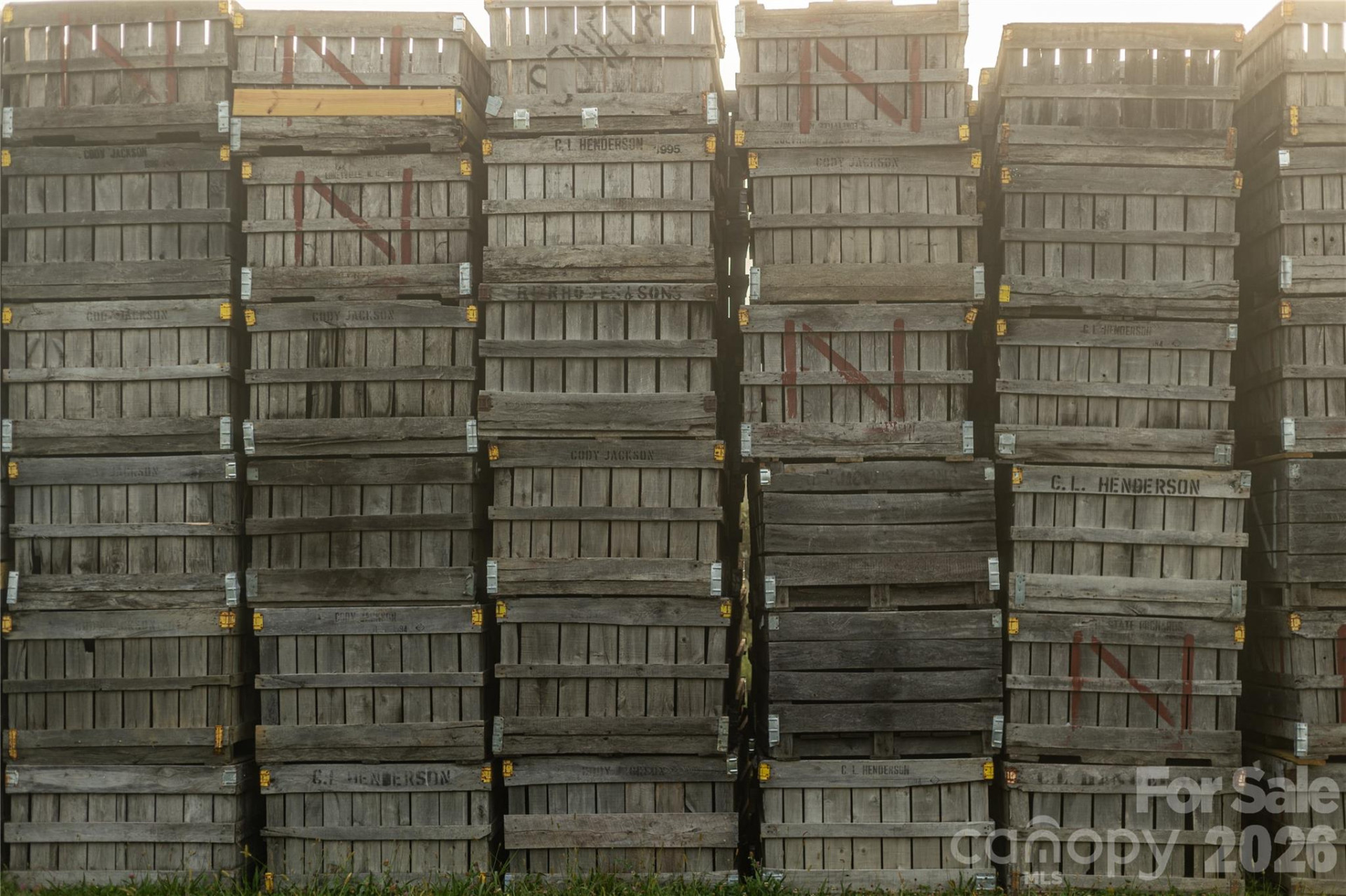 TBD Old Clear Creek Road - Photo 11