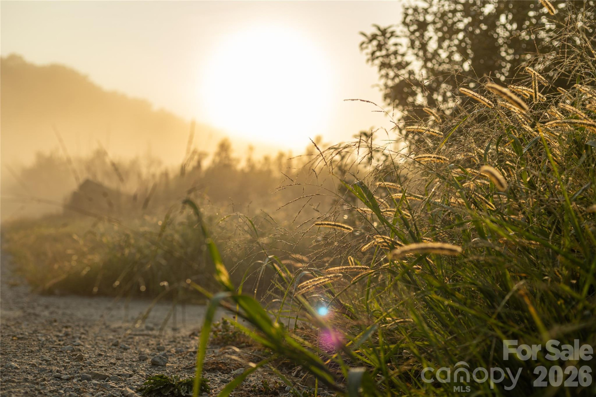 TBD Old Clear Creek Road - Photo 12
