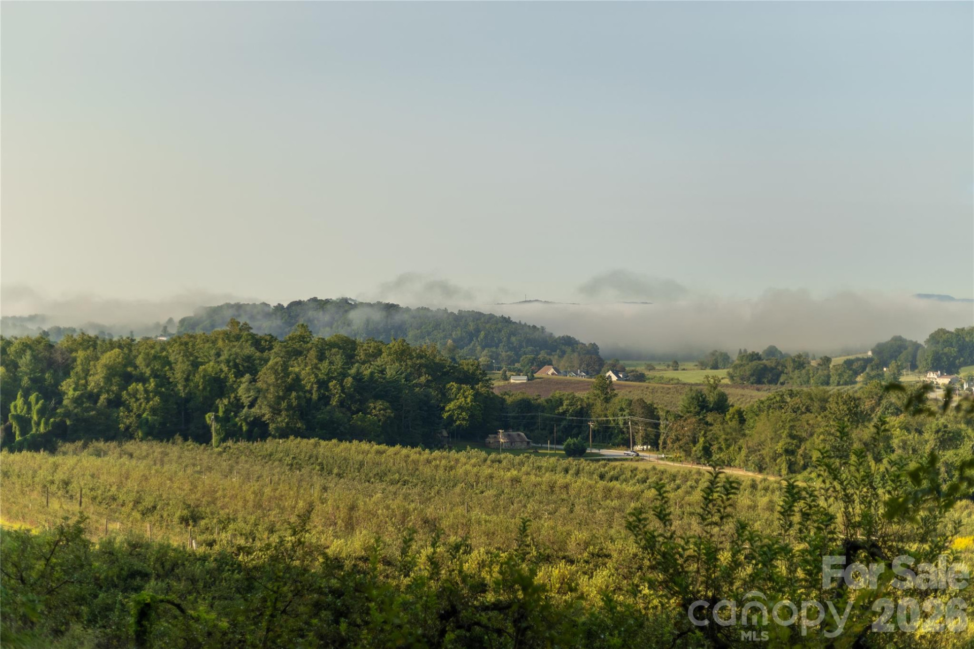 TBD Old Clear Creek Road - Photo 13