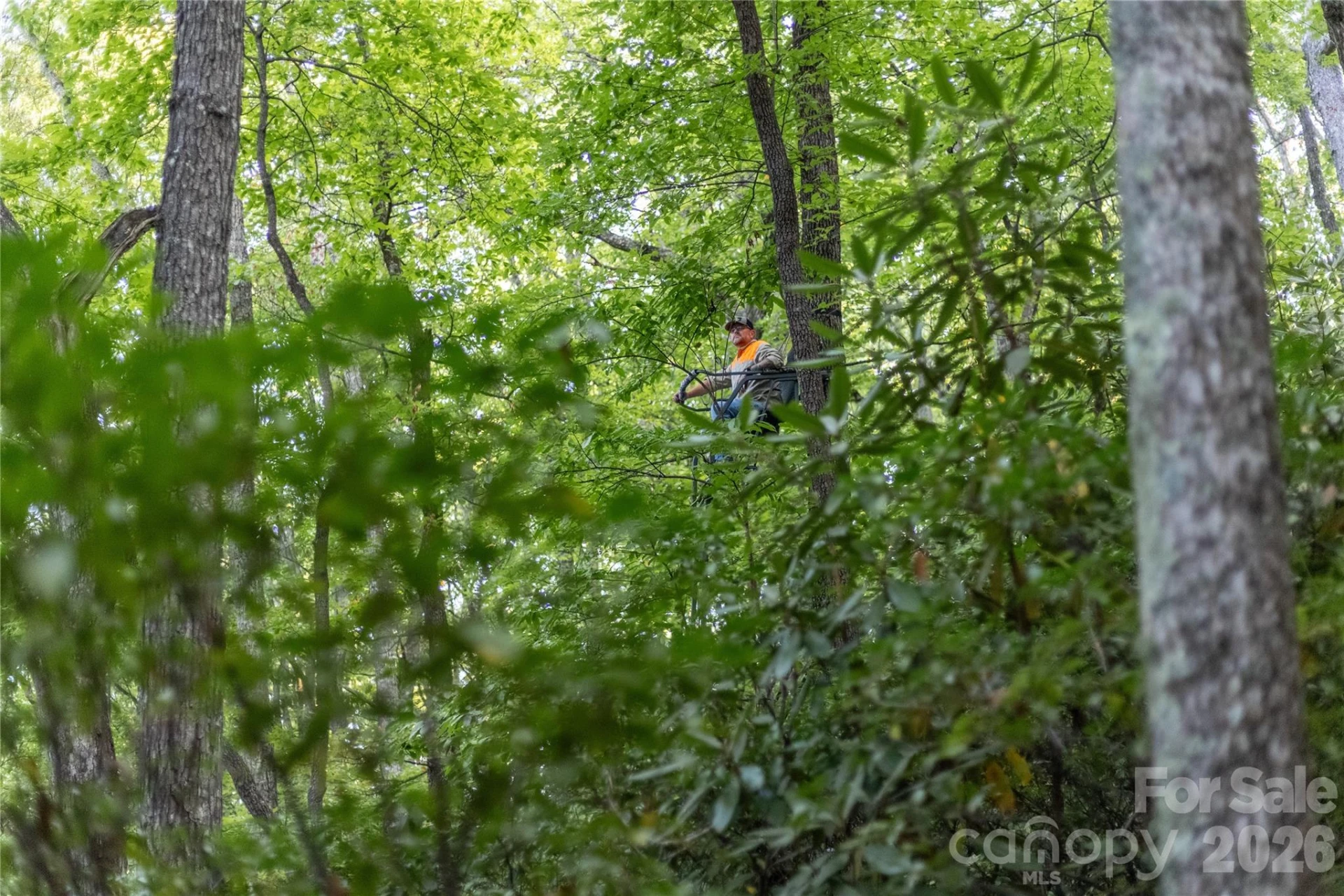 TBD Old Clear Creek Road - Photo 14