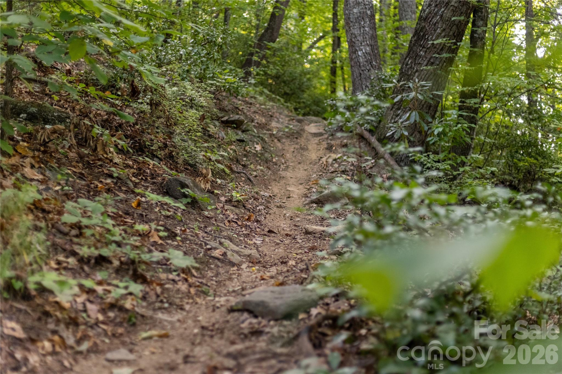 TBD Old Clear Creek Road - Photo 17