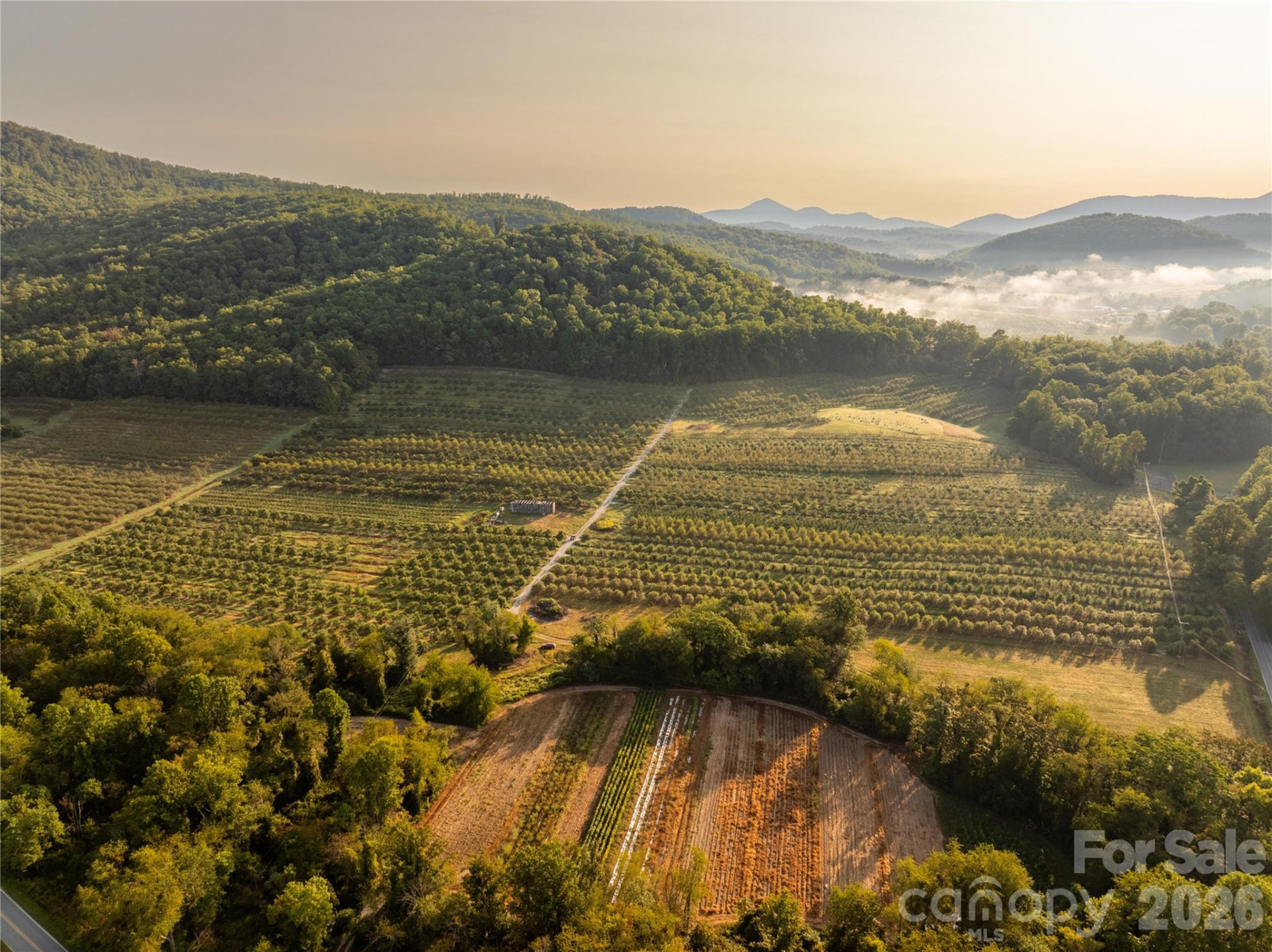 TBD Old Clear Creek Road - Photo 3