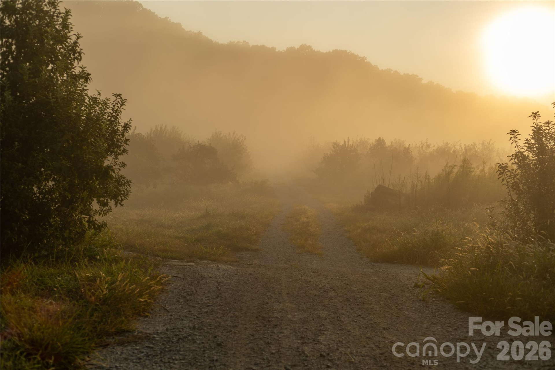 TBD Old Clear Creek Road - Photo 4