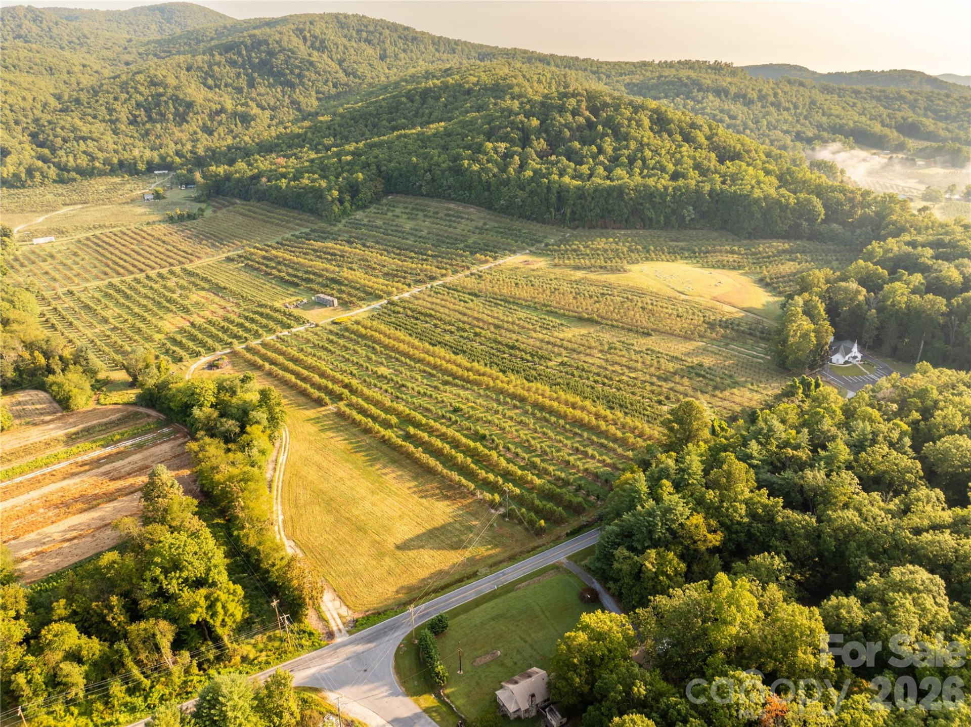 TBD Old Clear Creek Road - Photo 5