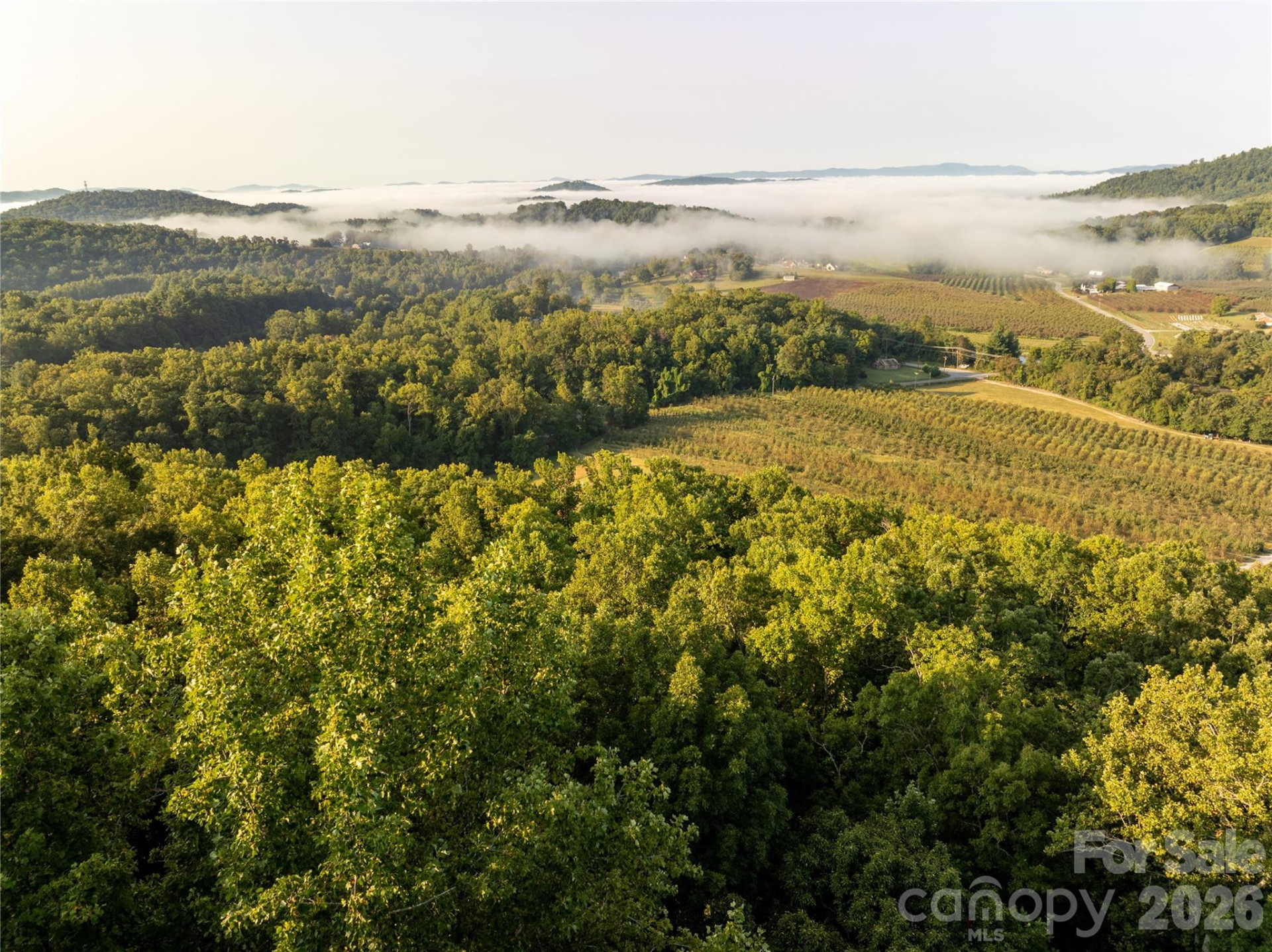 TBD Old Clear Creek Road - Photo 7