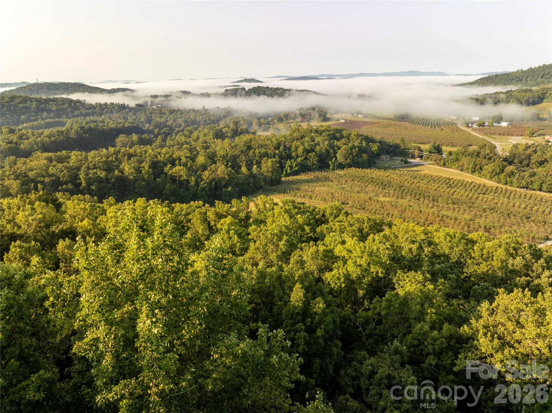 TBD Old Clear Creek Road - Photo 7