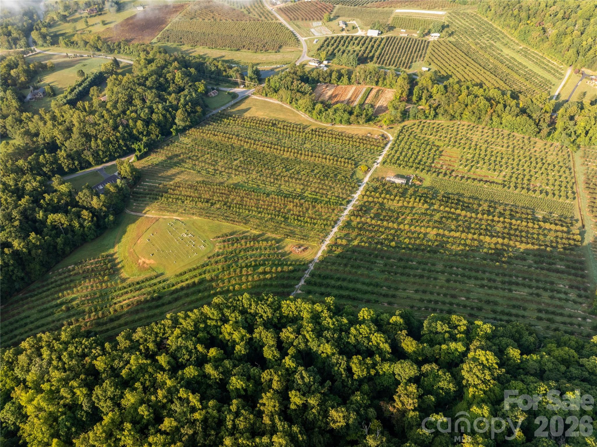 TBD Old Clear Creek Road - Photo 8
