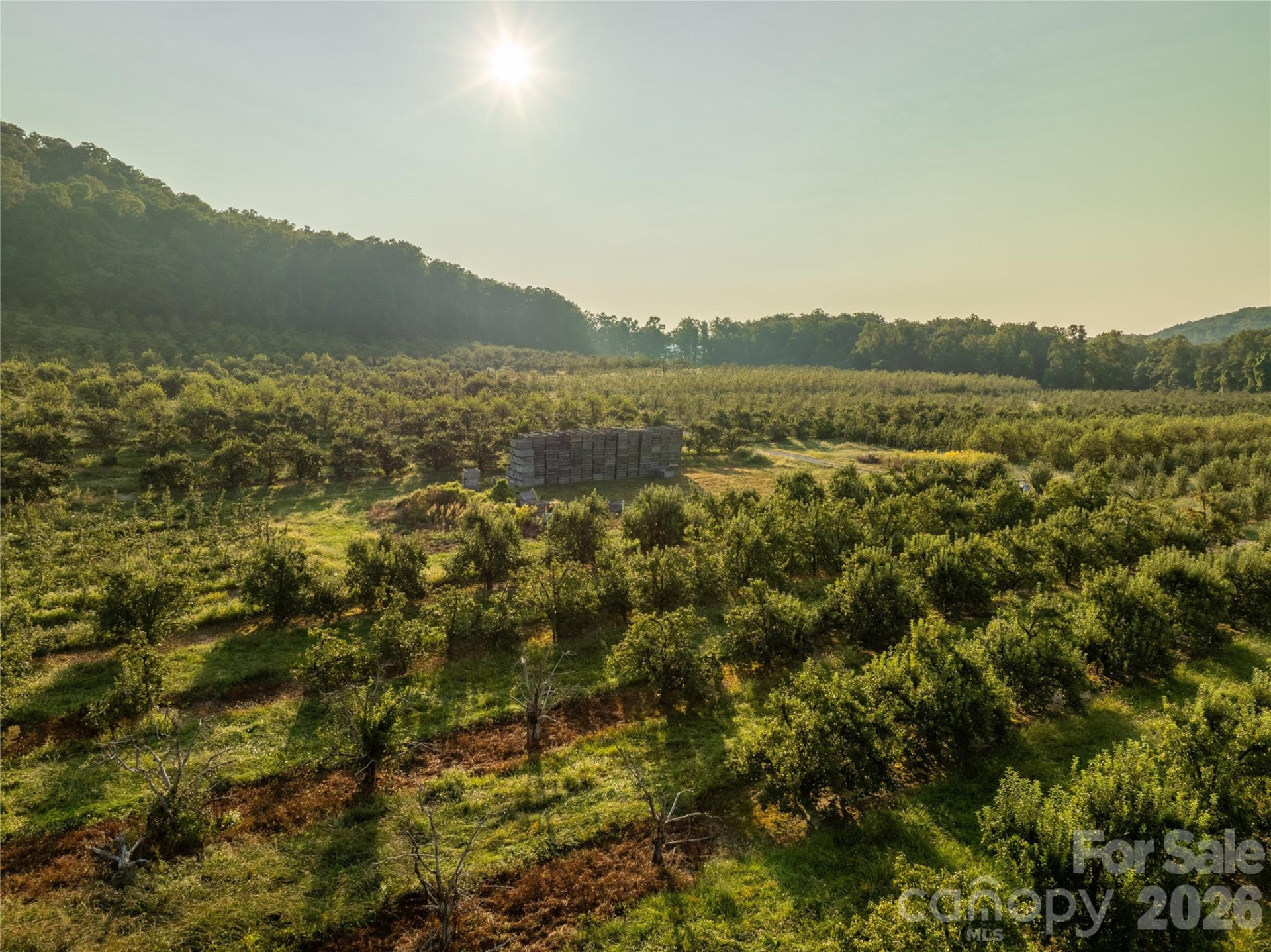 TBD Old Clear Creek Road - Photo 9