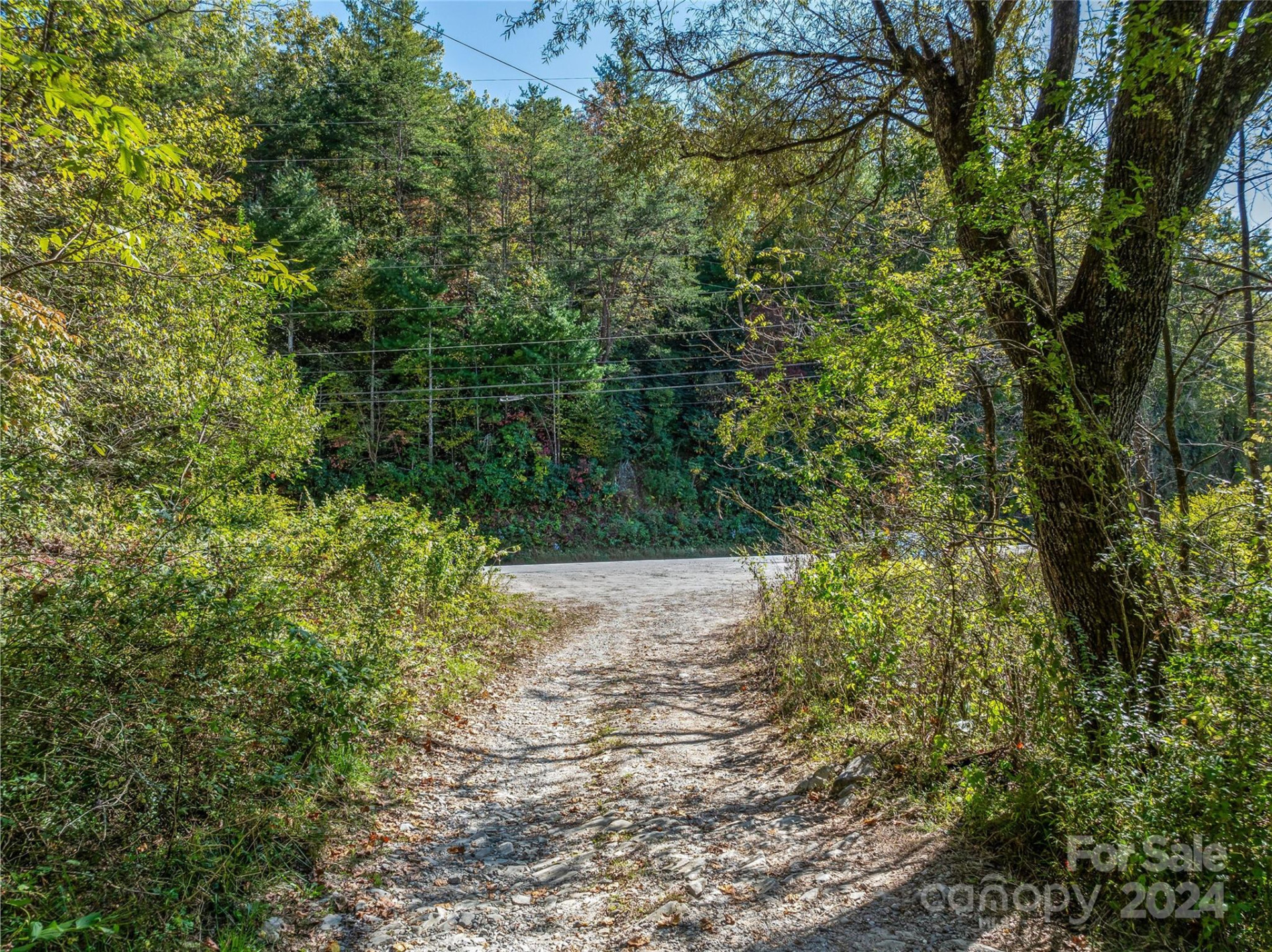 99999 Yager Farms Road - Photo 2