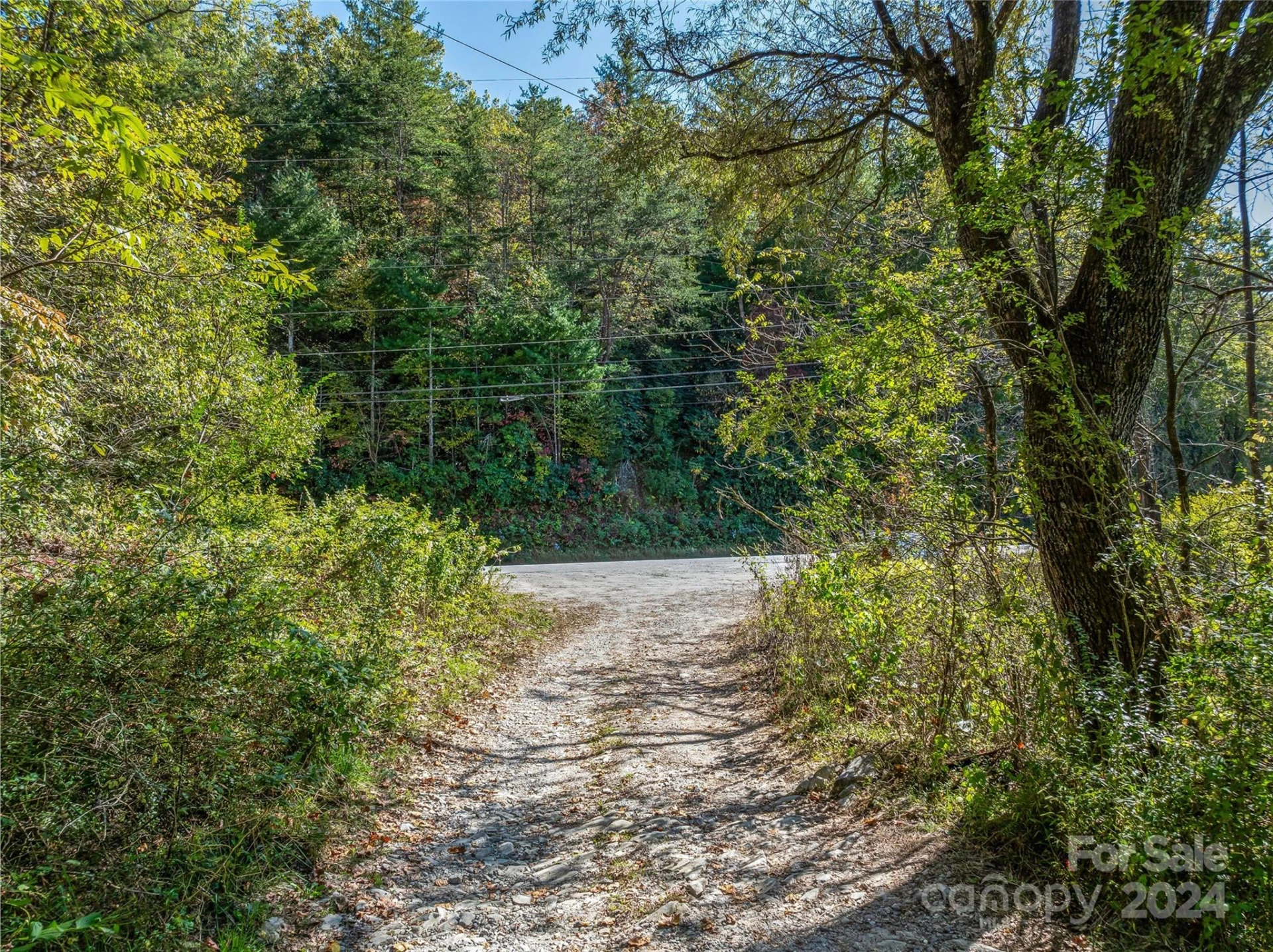 99999 Yager Farms Road - Photo 2