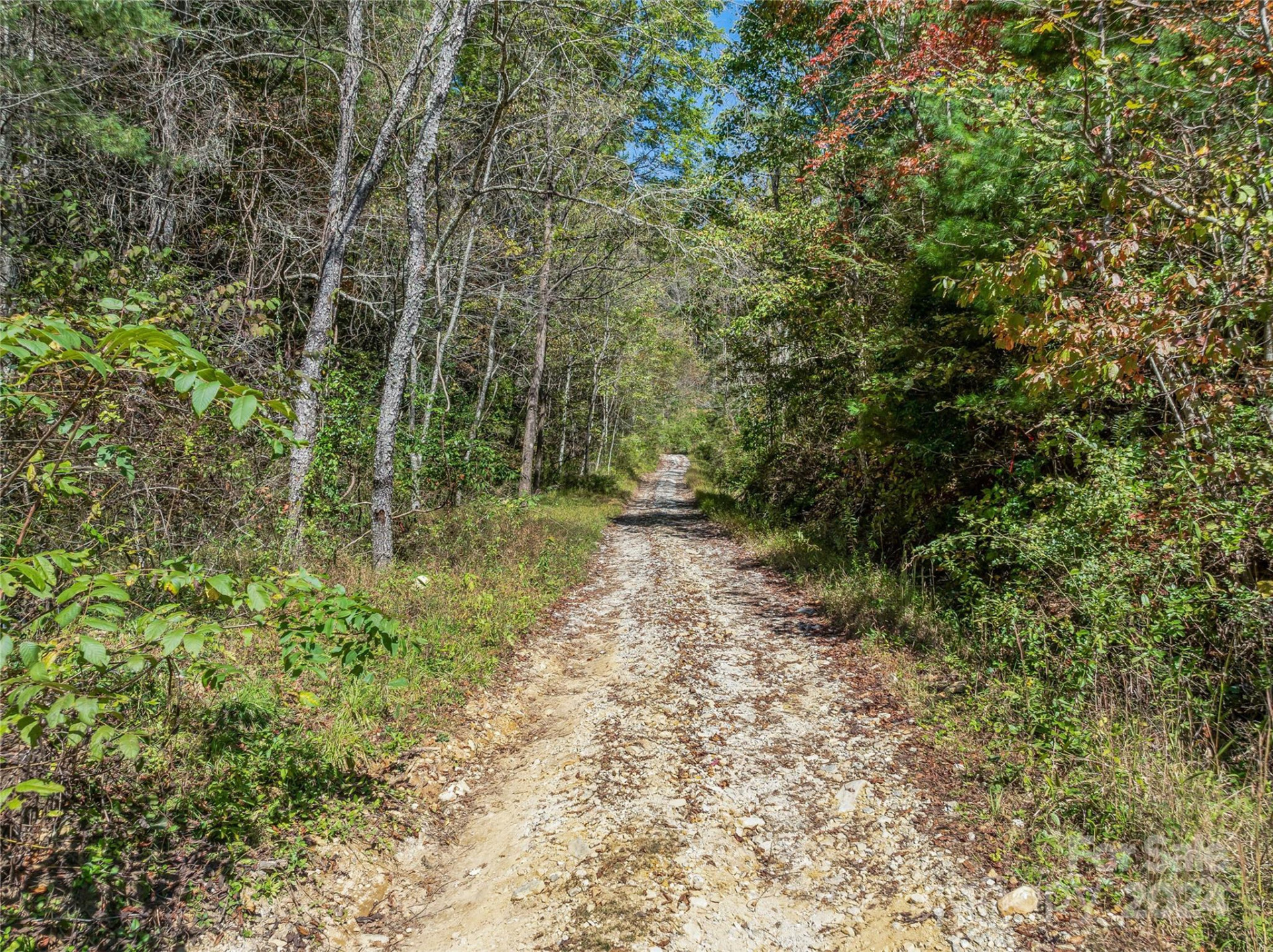 99999 Yager Farms Road - Photo 14