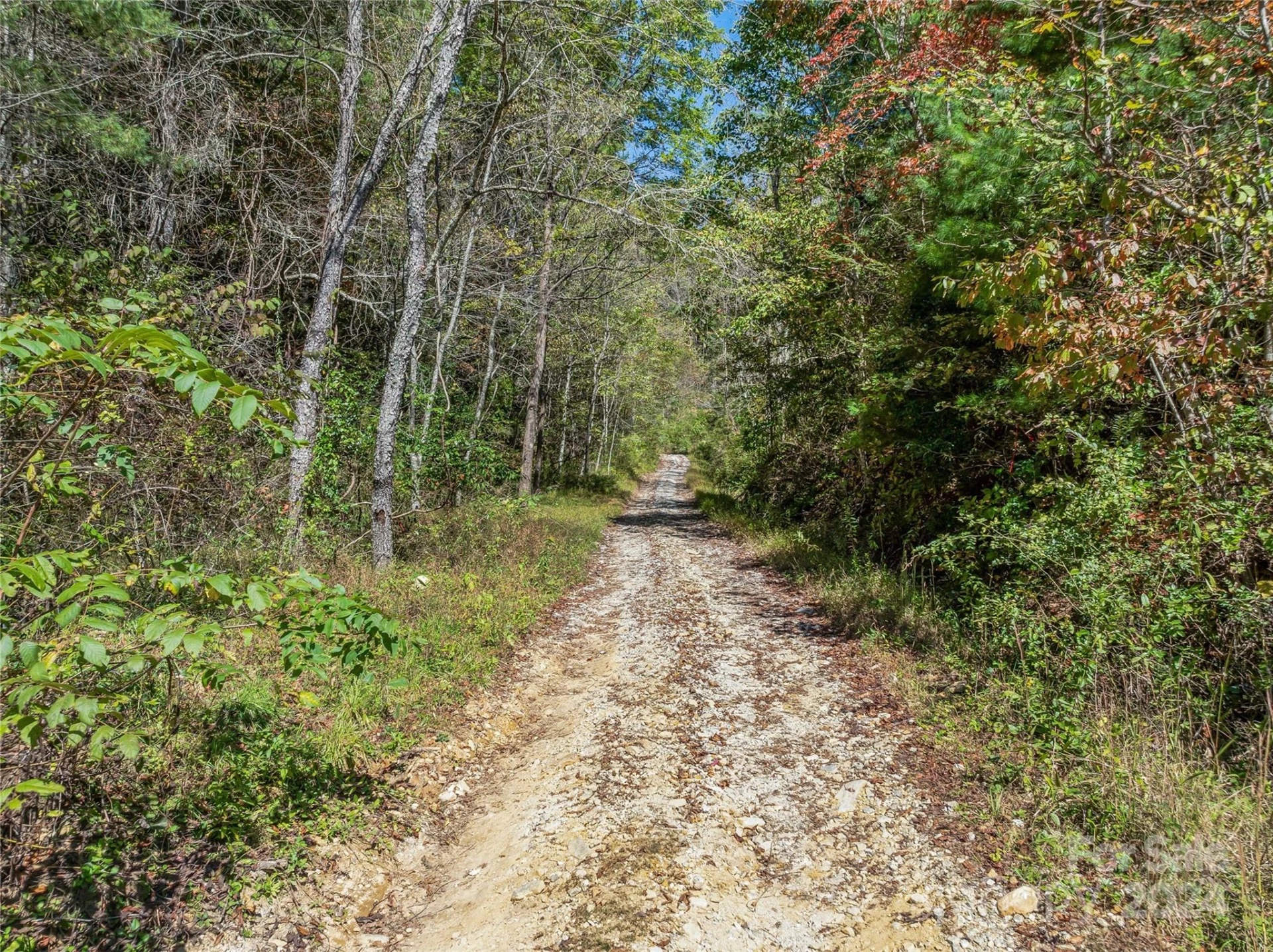 99999 Yager Farms Road - Photo 14