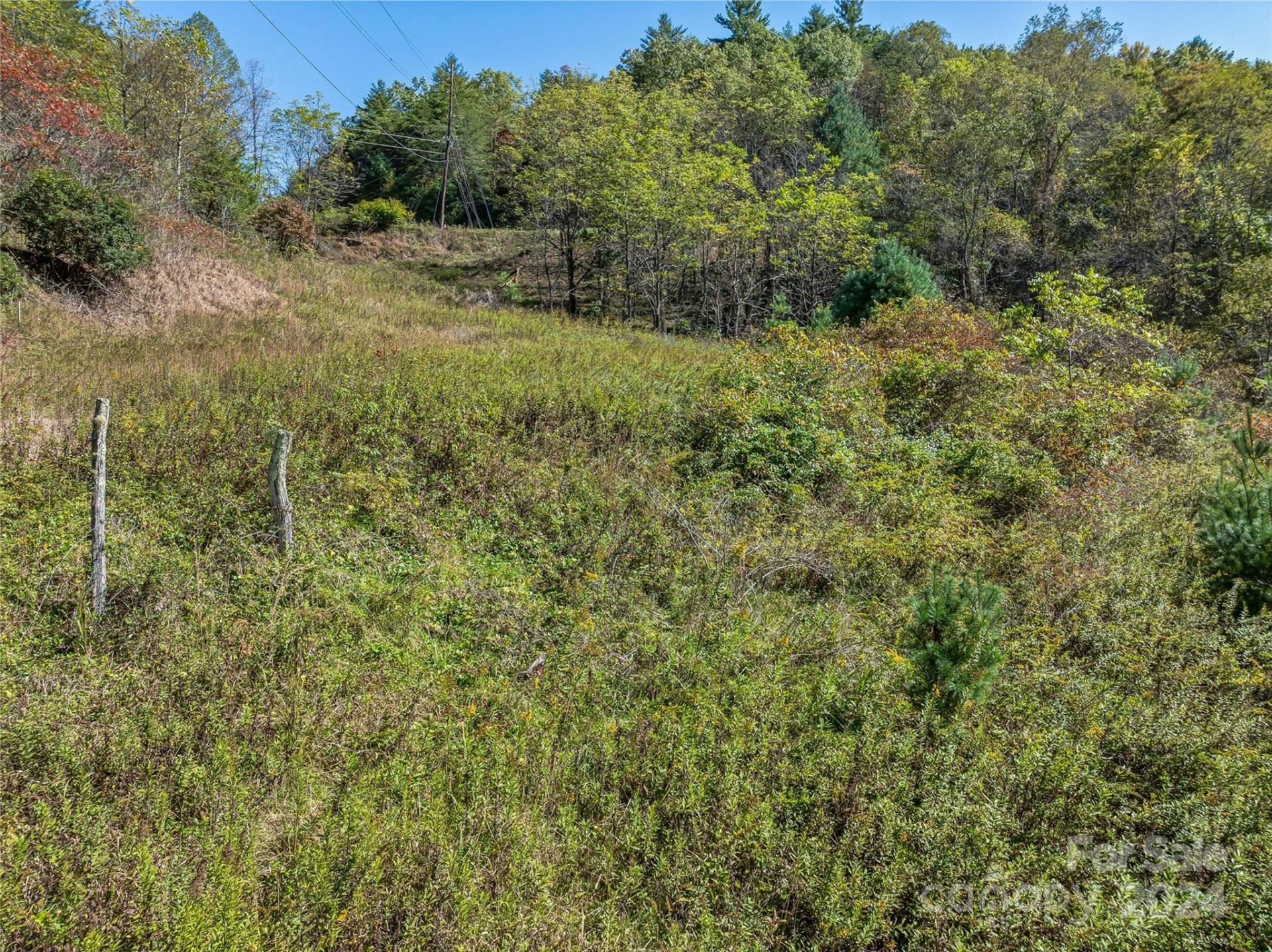 99999 Yager Farms Road - Photo 15