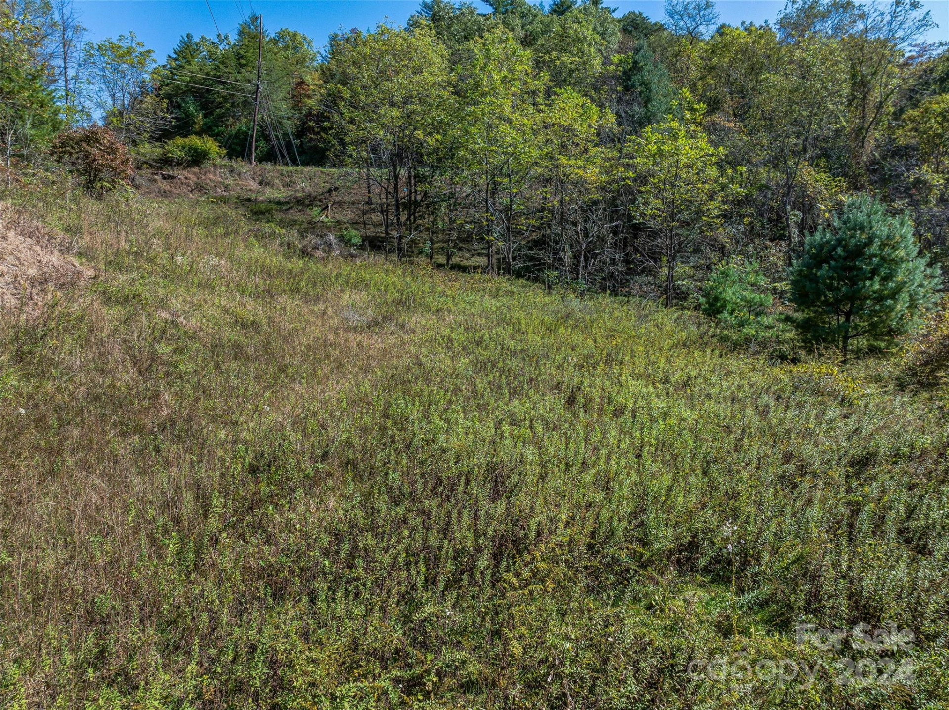 99999 Yager Farms Road - Photo 16