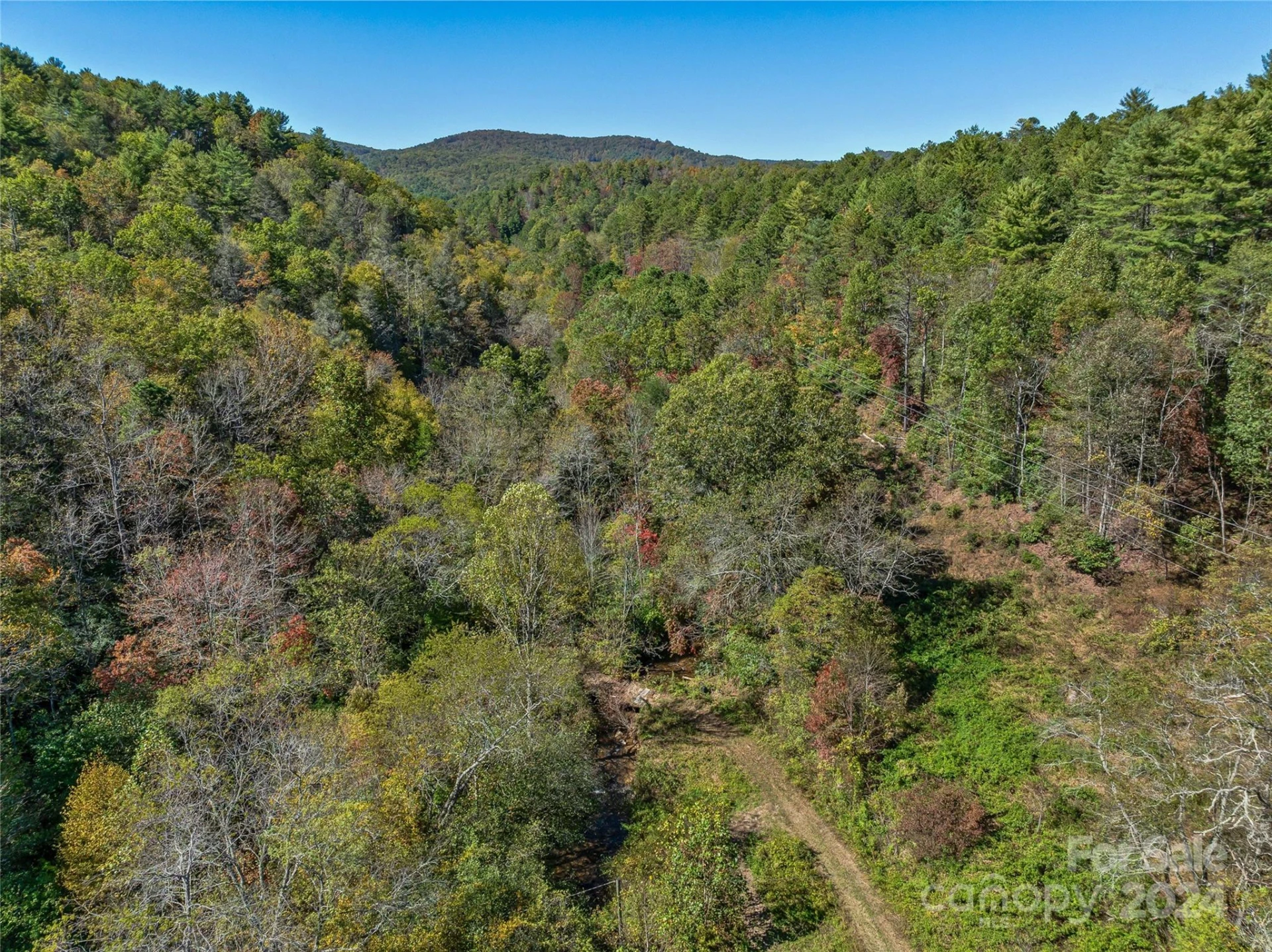 99999 Yager Farms Road - Photo 4