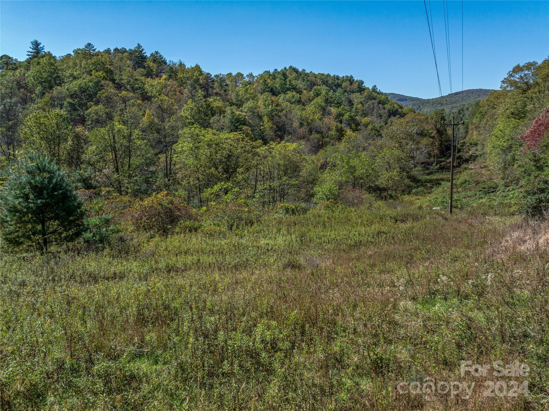 99999 Yager Farms Road - Photo 5