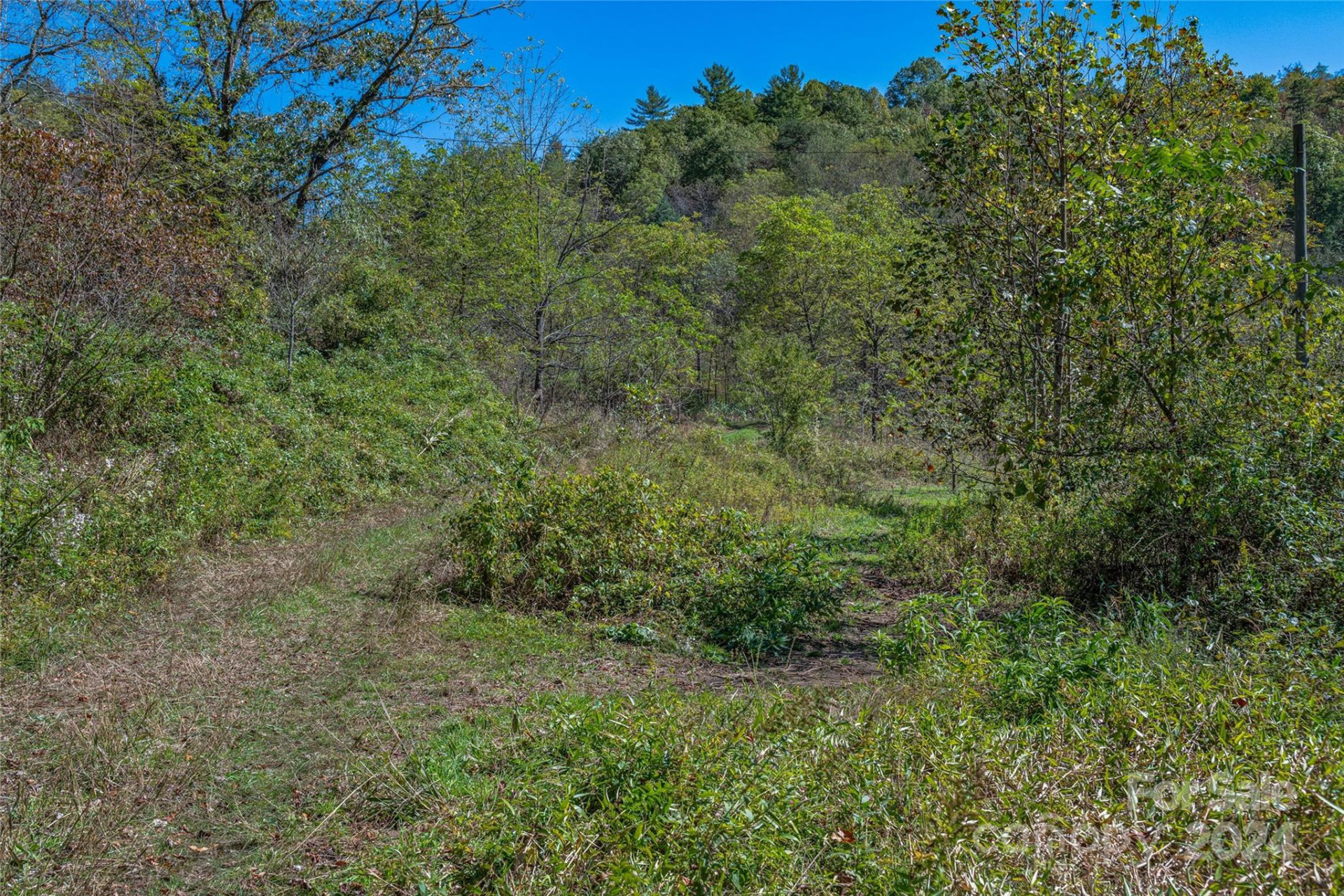 99999 Yager Farms Road - Photo 6