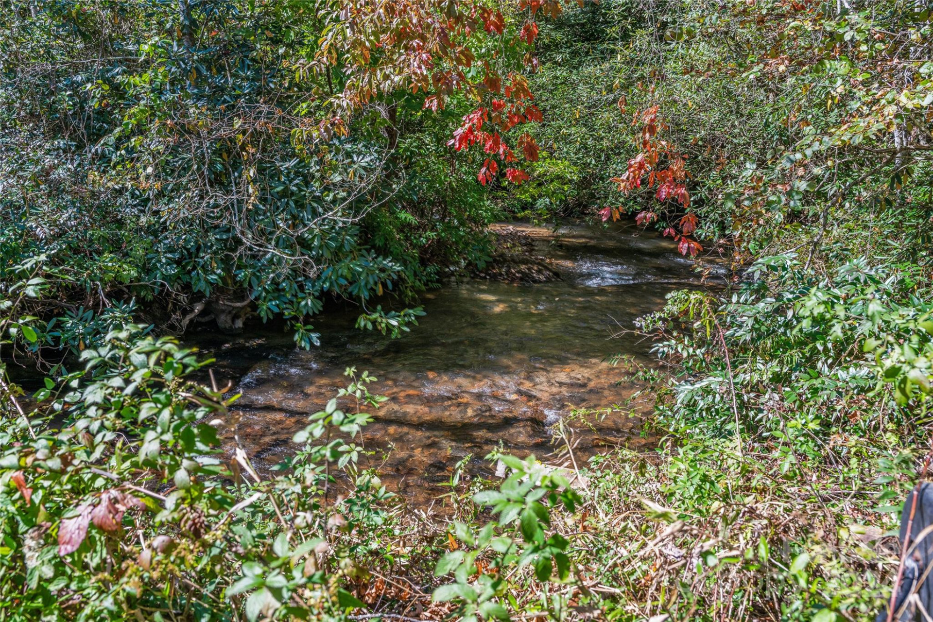 99999 Yager Farms Road - Photo 7