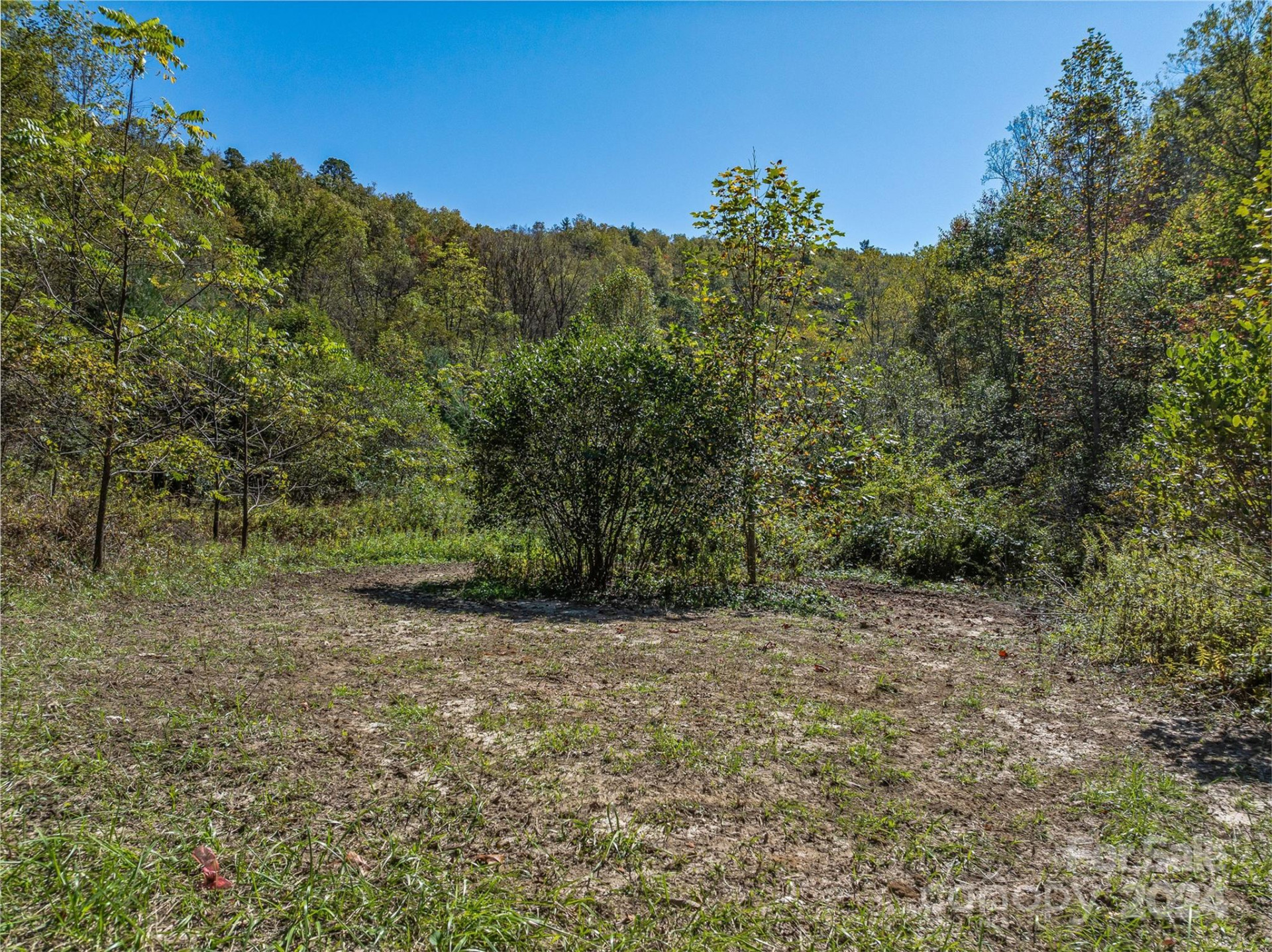 99999 Yager Farms Road - Photo 8