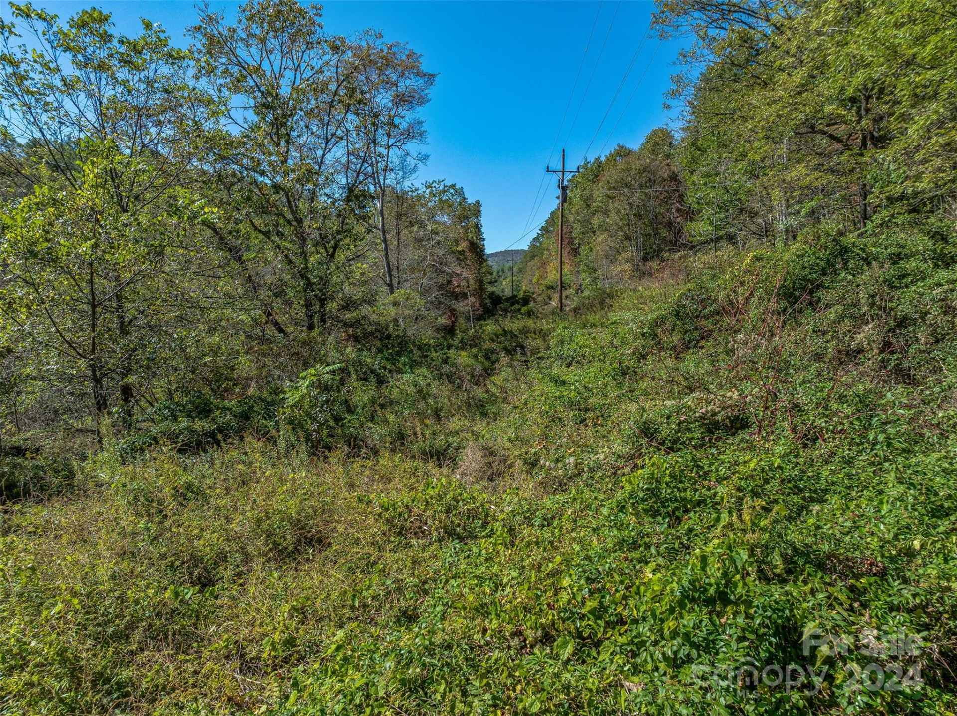 99999 Yager Farms Road - Photo 10