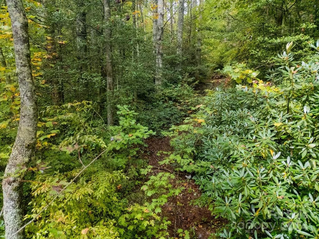 TBD Homer McCall Road - Photo 11