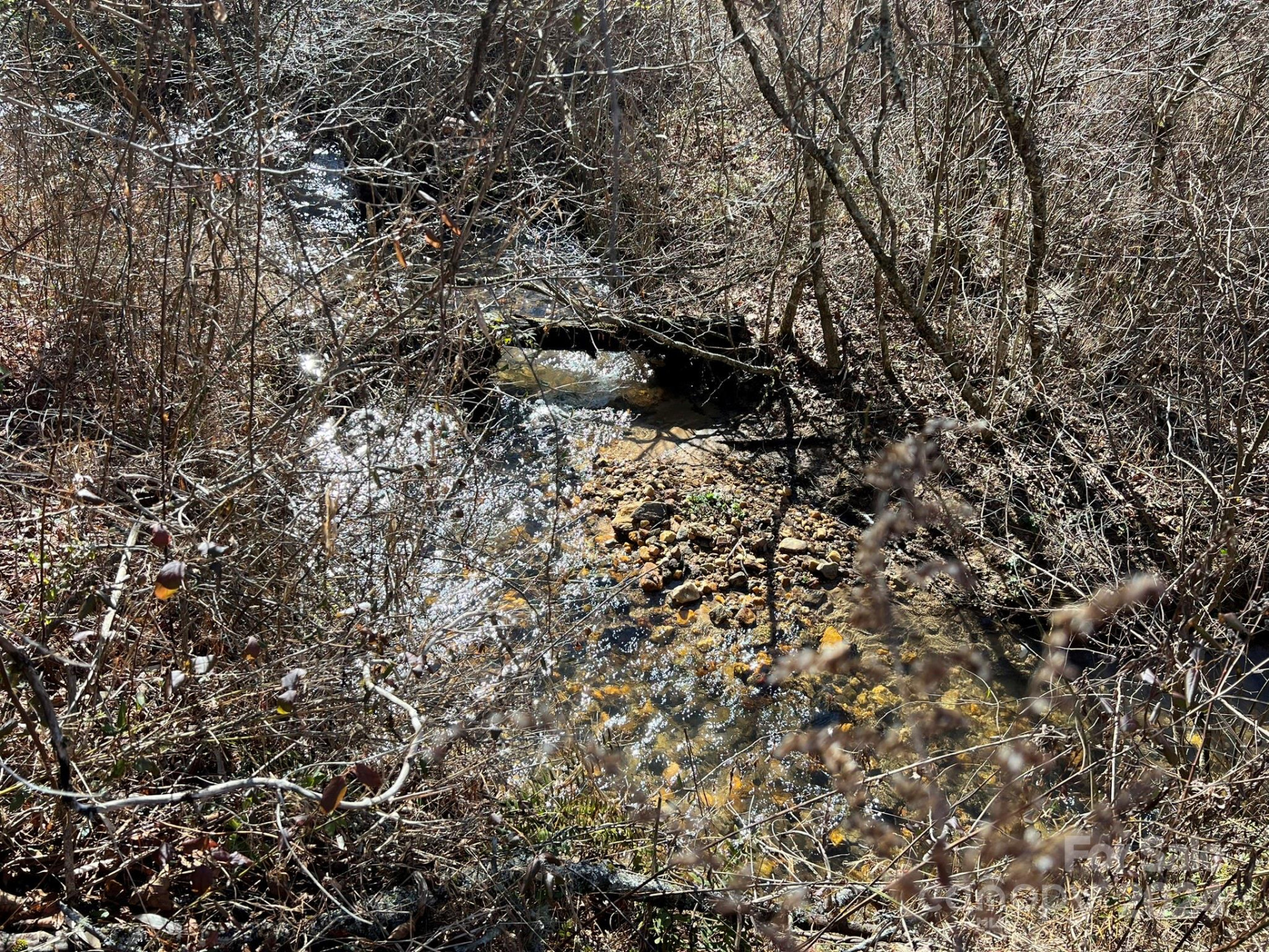 TBD Homer McCall Road - Photo 15