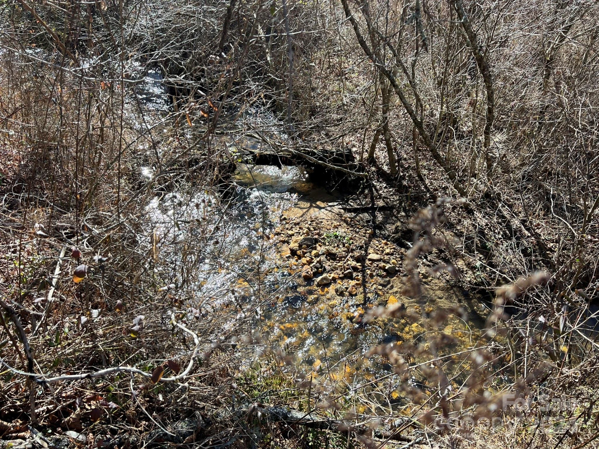 TBD Homer McCall Road - Photo 15