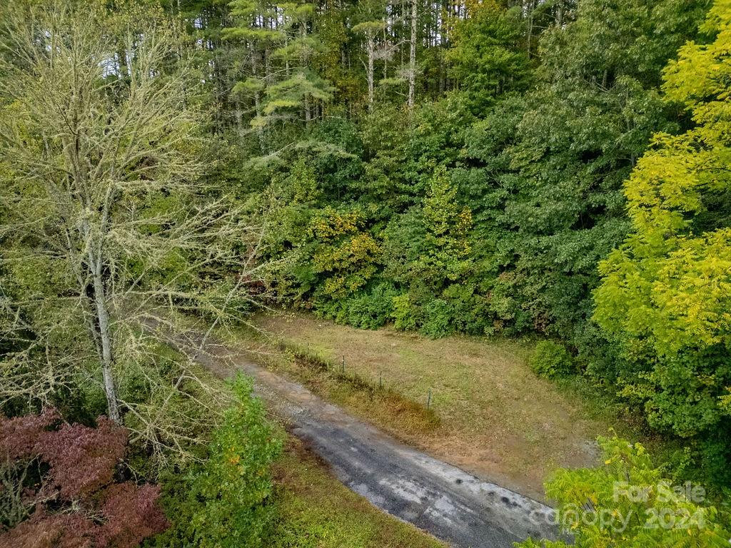 TBD Homer McCall Road - Photo 3