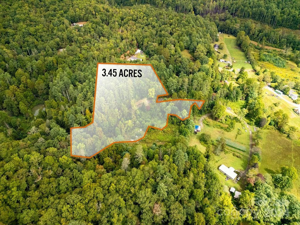 TBD Homer McCall Road - Photo 4