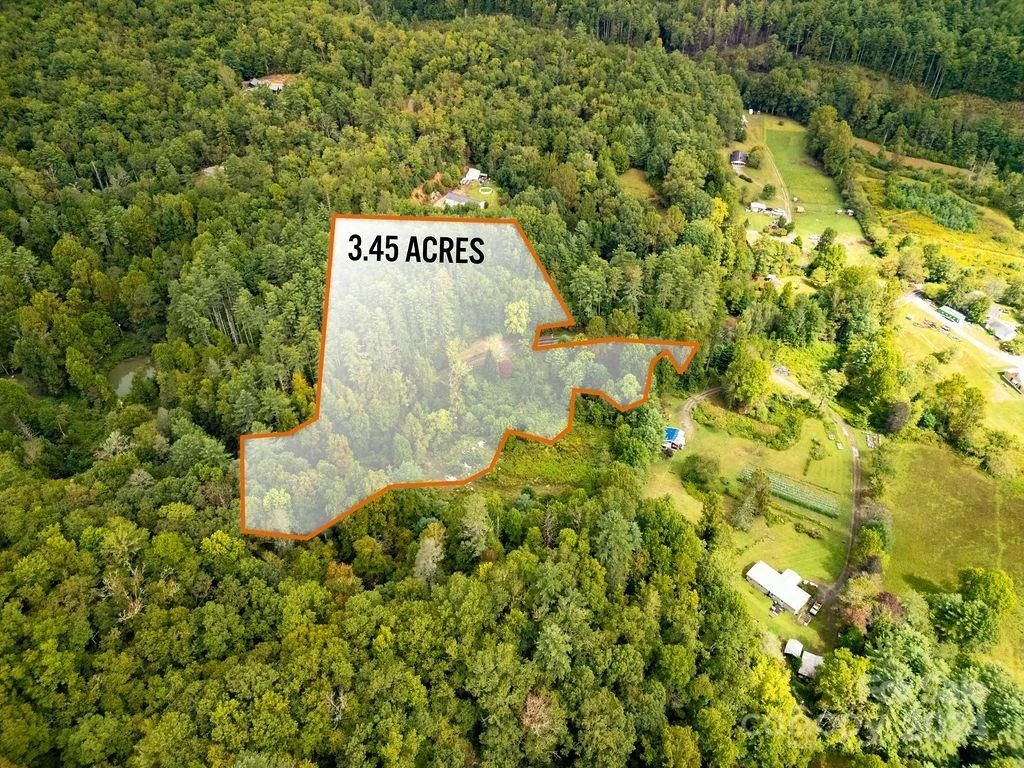 TBD Homer McCall Road - Photo 4