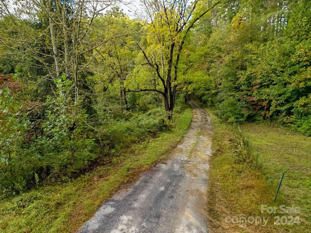 TBD Homer McCall Road - Photo 5