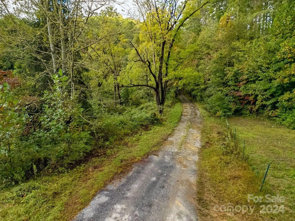 TBD Homer McCall Road - Photo 5