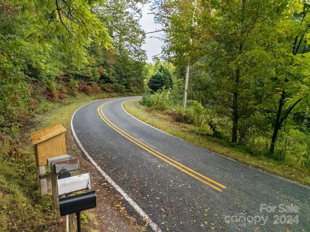 TBD Homer McCall Road - Photo 6