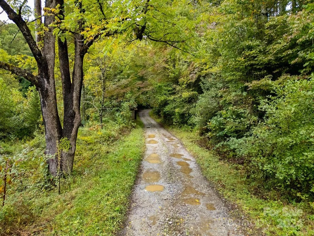 TBD Homer McCall Road - Photo 7