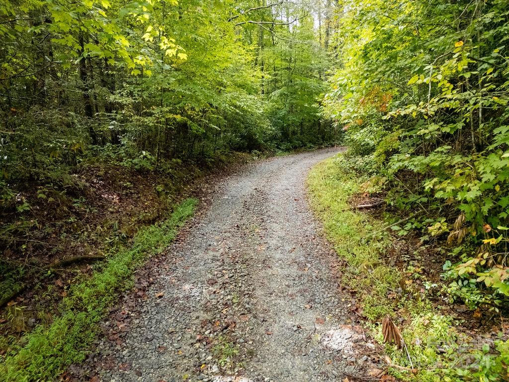 TBD Homer McCall Road - Photo 9