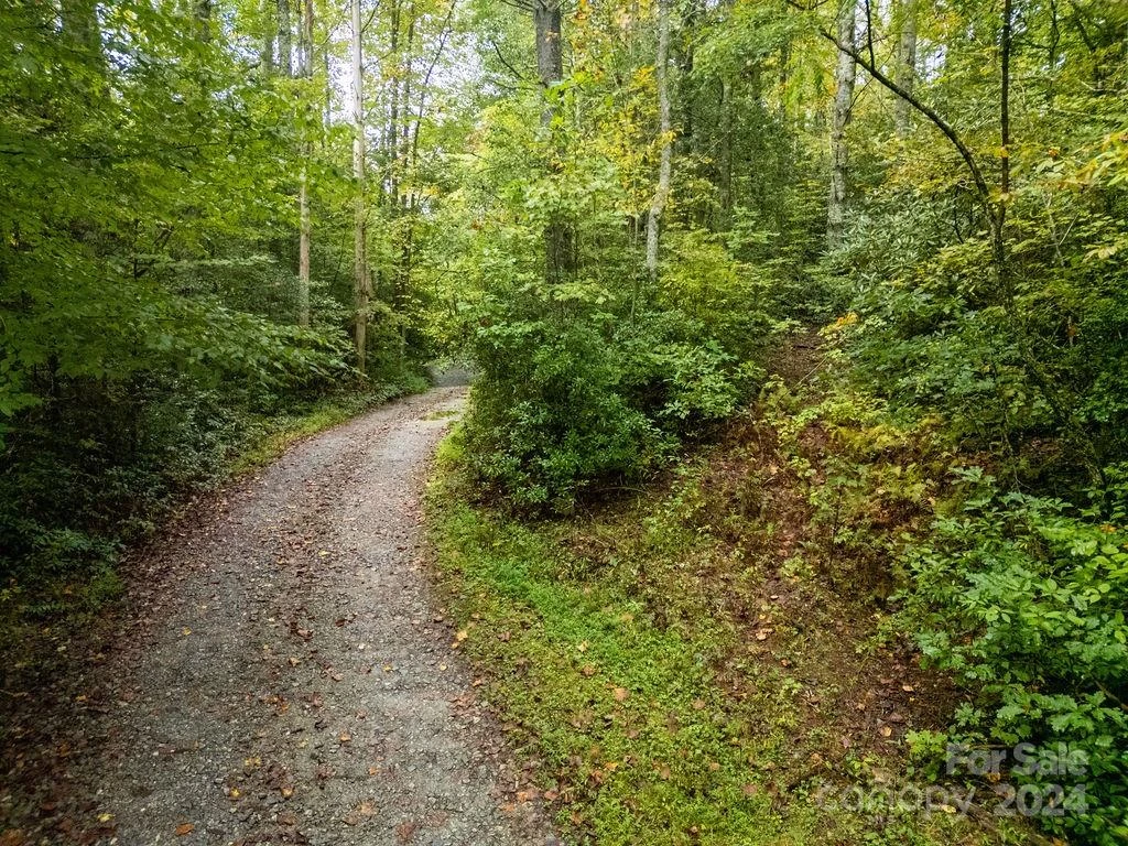 TBD Homer McCall Road - Photo 10