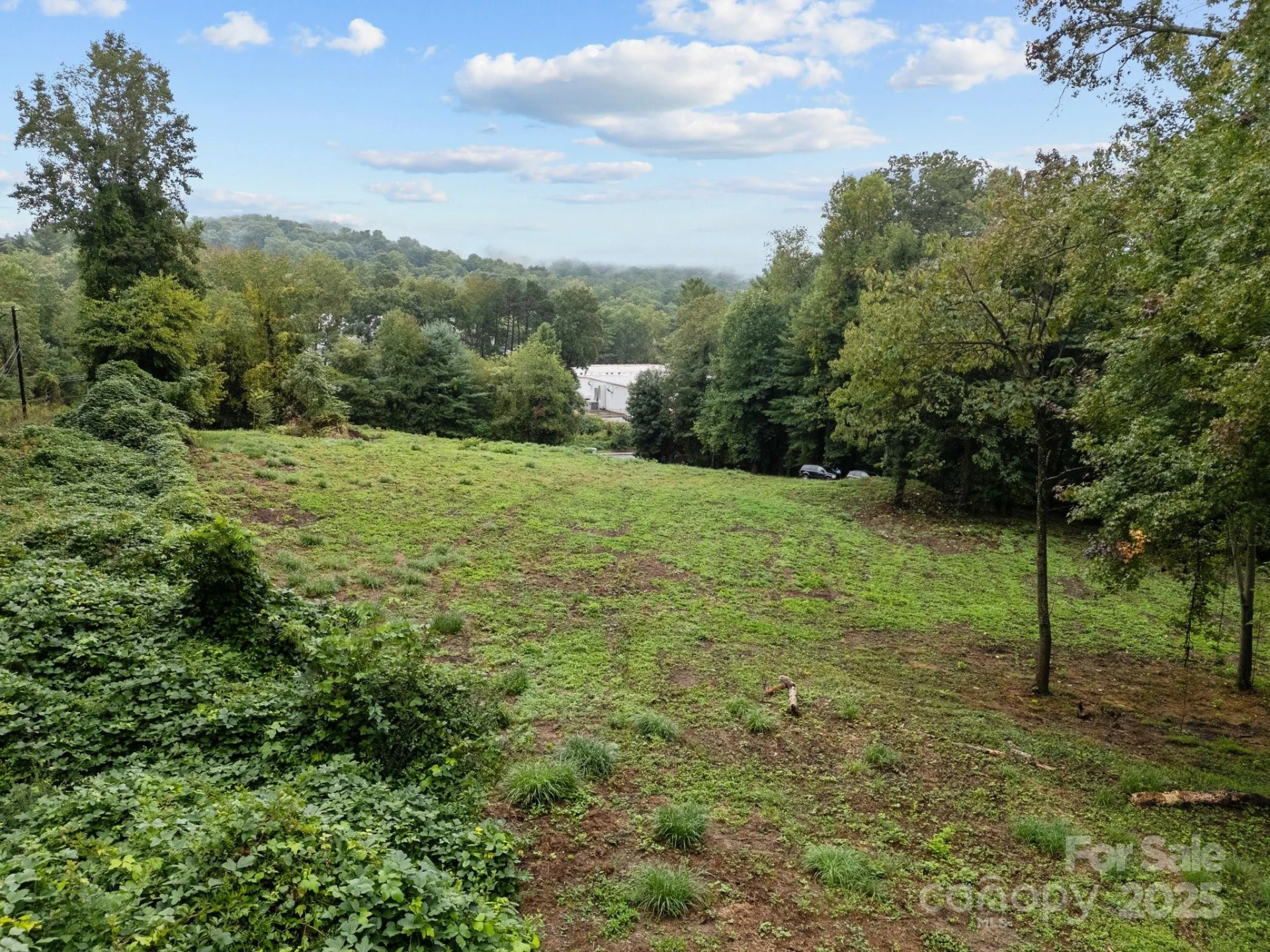 1945 Hendersonville Road - Photo 3