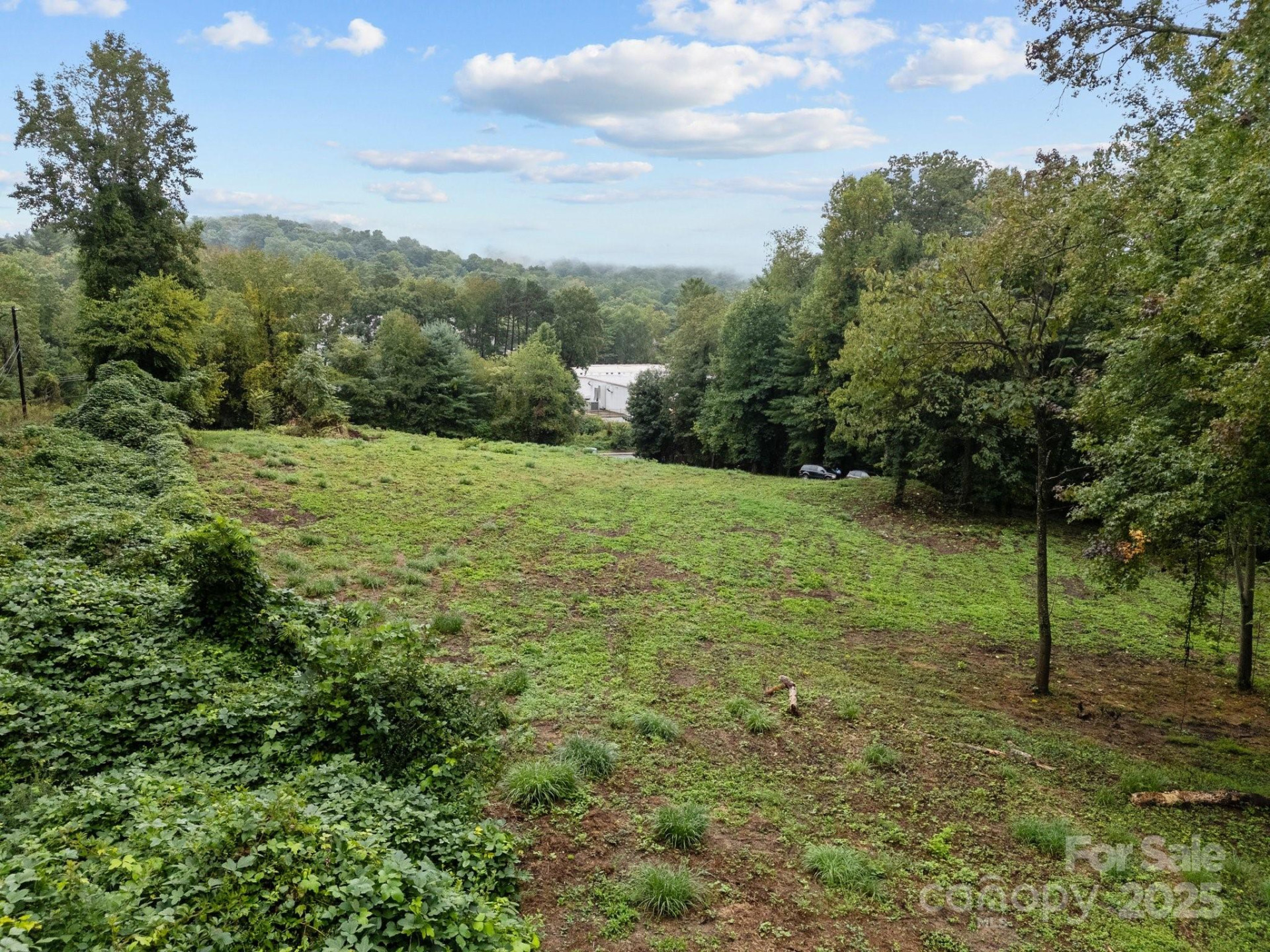 1945 Hendersonville Road - Photo 6