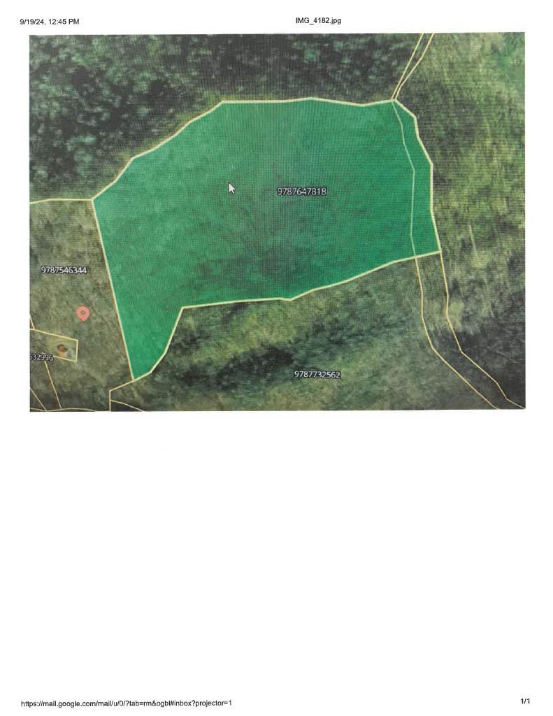 9999 Kelses Valley Drive - Photo 4