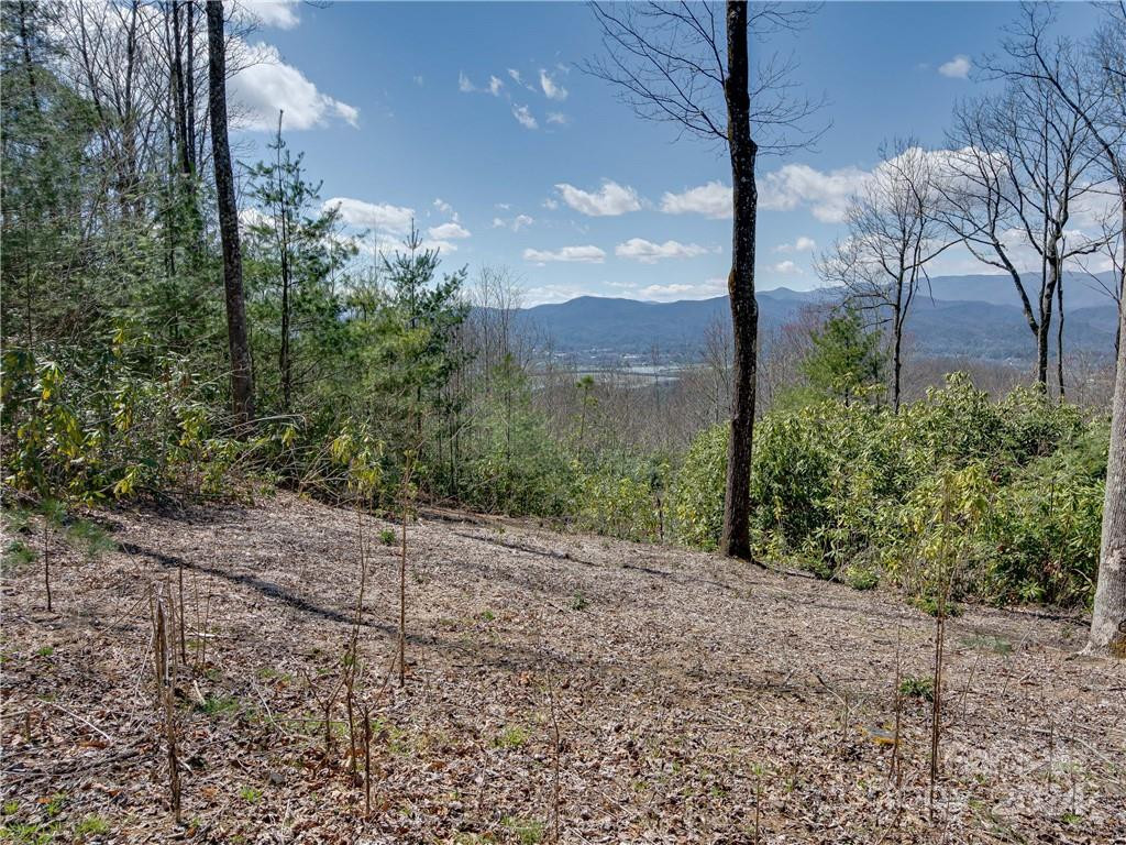 8B Reserve Road - Photo 6