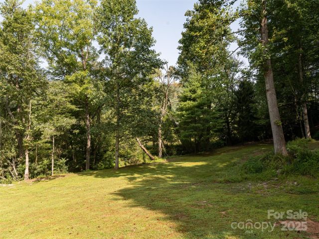 9999 Del Sol Drive, Mills River, NC, 28759